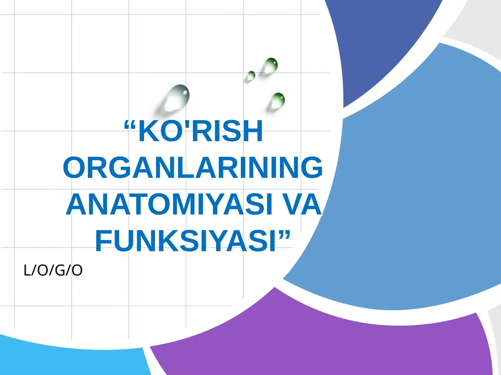 KO'RISH ORGANLARINING ANATOMIYASI VA FUNKSIYASI