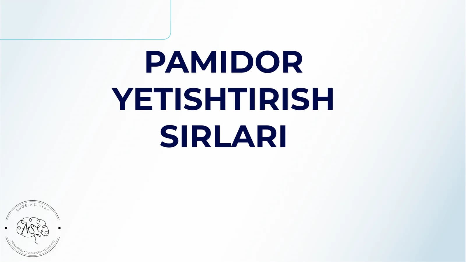 Pamidor Yetishtirish Sirlari
