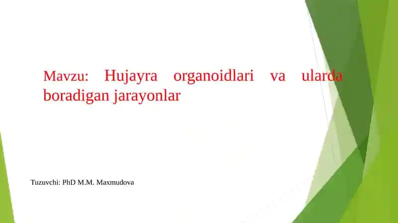 Hujayra organoidlari va ularda boradigan jarayonlar