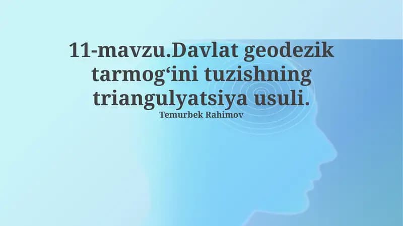 Davlat geodezik tarmog‘ini tuzishning triangulyatsiya usuli