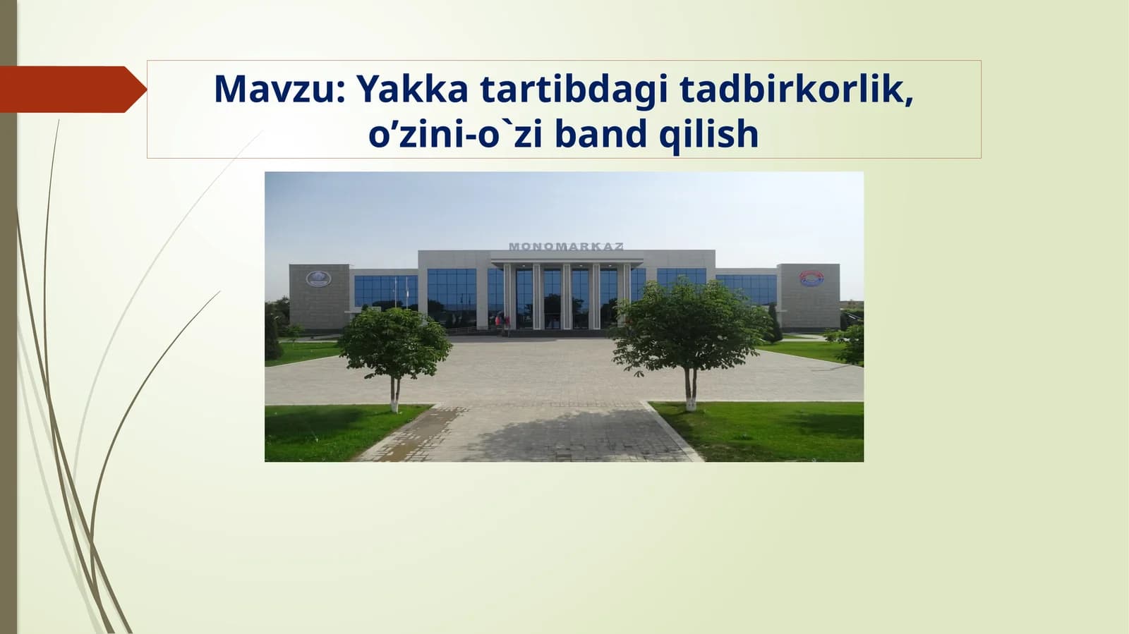Yakka tartibdagi tadbirkorlik, o’zini-o`zi band qilish
