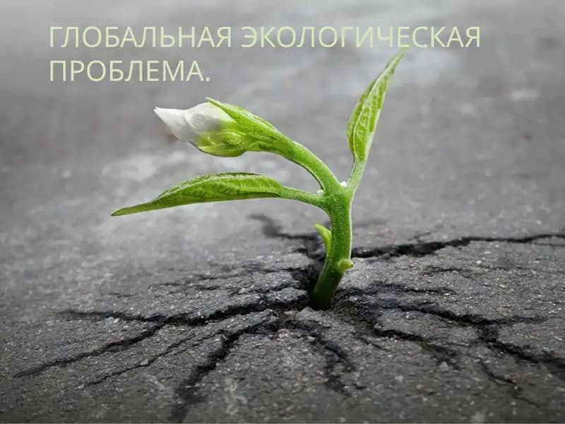 Глобальная экологическая проблема.