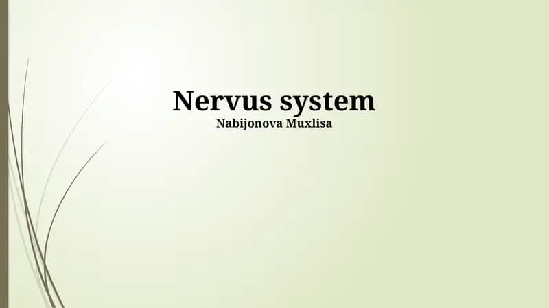 Nervus system