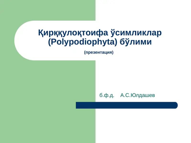 Қирққулоқтоифа ўсимликлар (Polypodiophyta) бўлими(презентация)