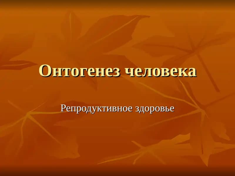Онтогенез человека