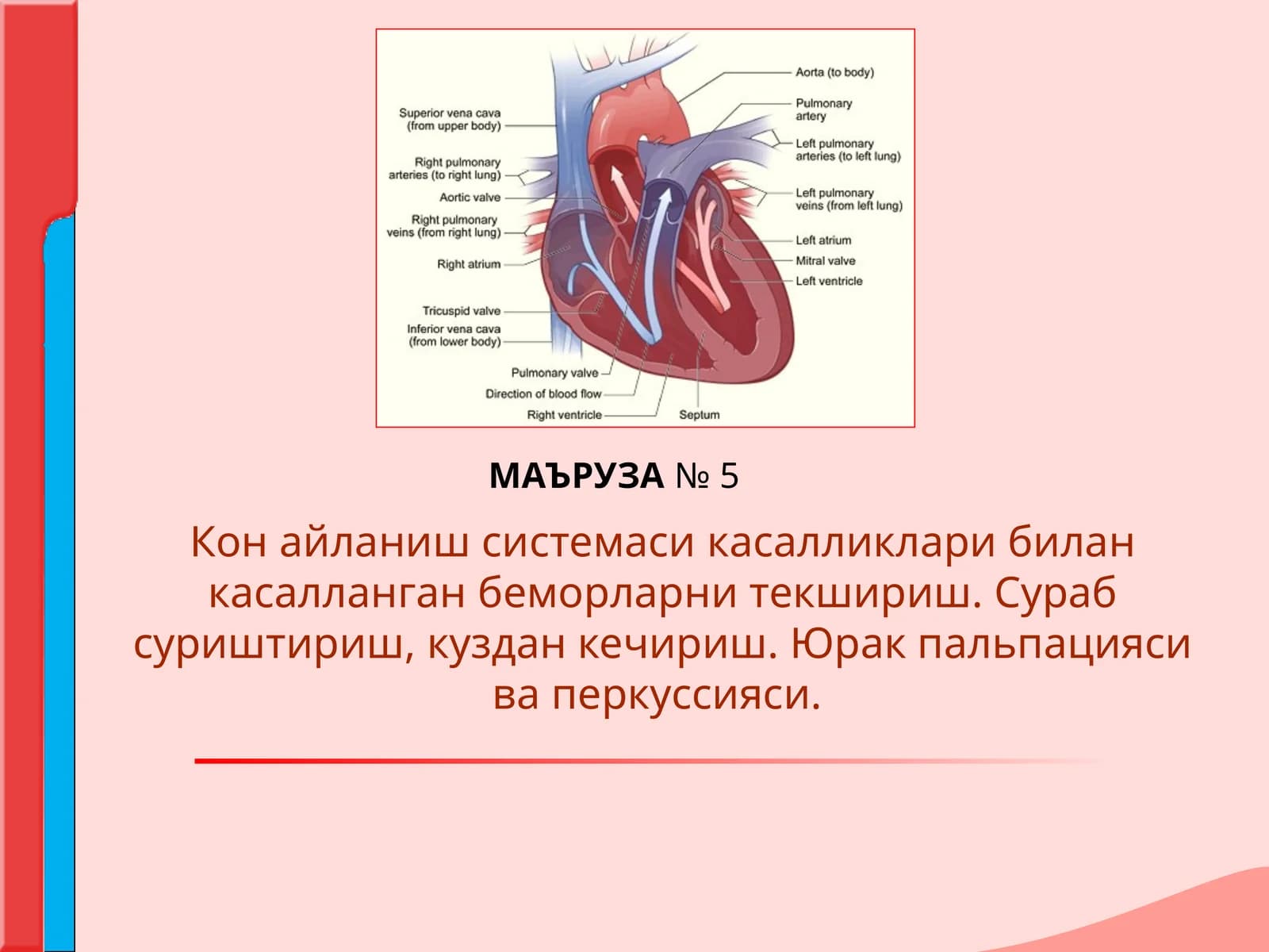 Кон айланиш системаси касалликлари билан касалланган беморларни текшириш. Сураб суриштириш, куздан кечириш. Юрак пальпацияси ва перкуссияси