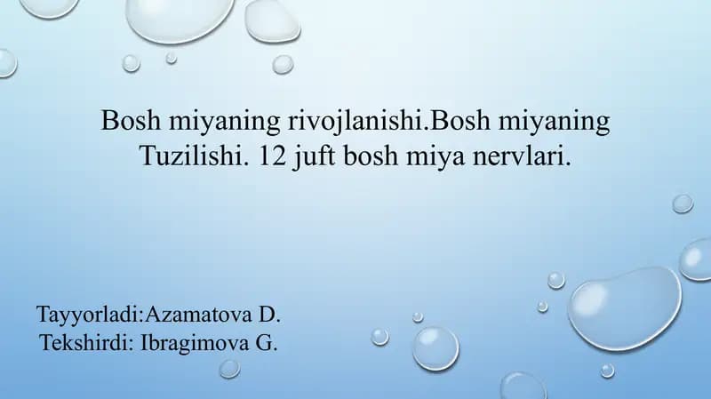Bosh miya nervlari