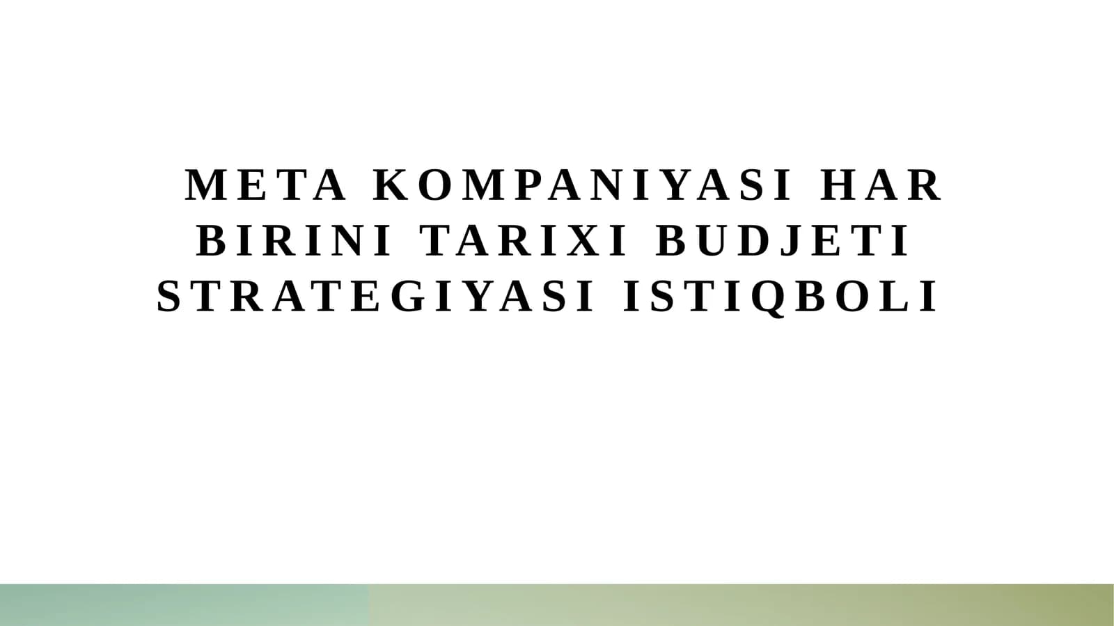 Metakompaniyasining Budjet va Moliyaviy Boshqaruv