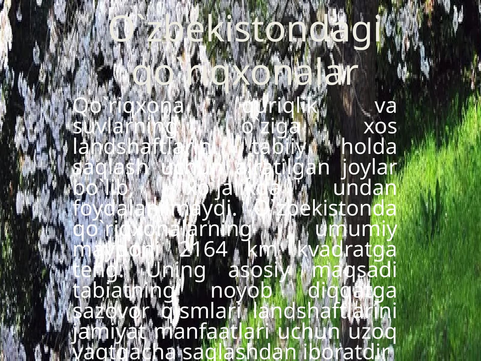 Qo`riqxonalar