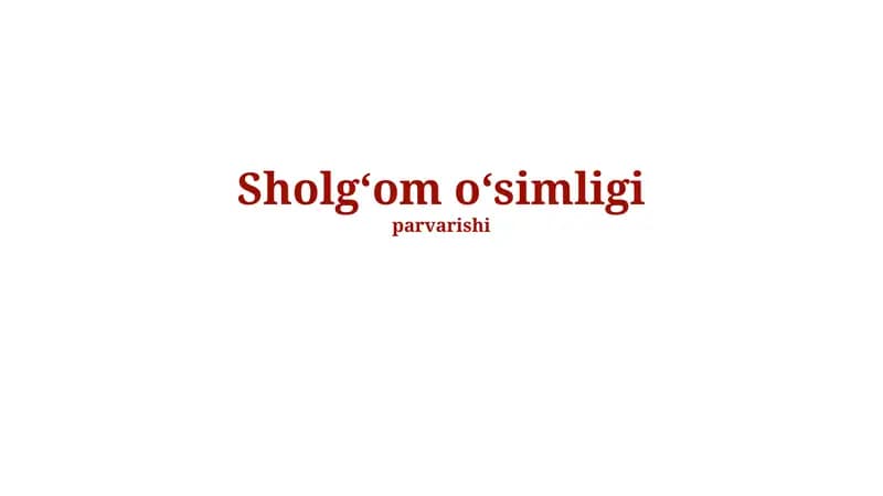 Turnip o'simligi haqida