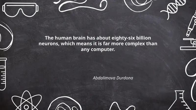 Synaptic connectivity in the human brain