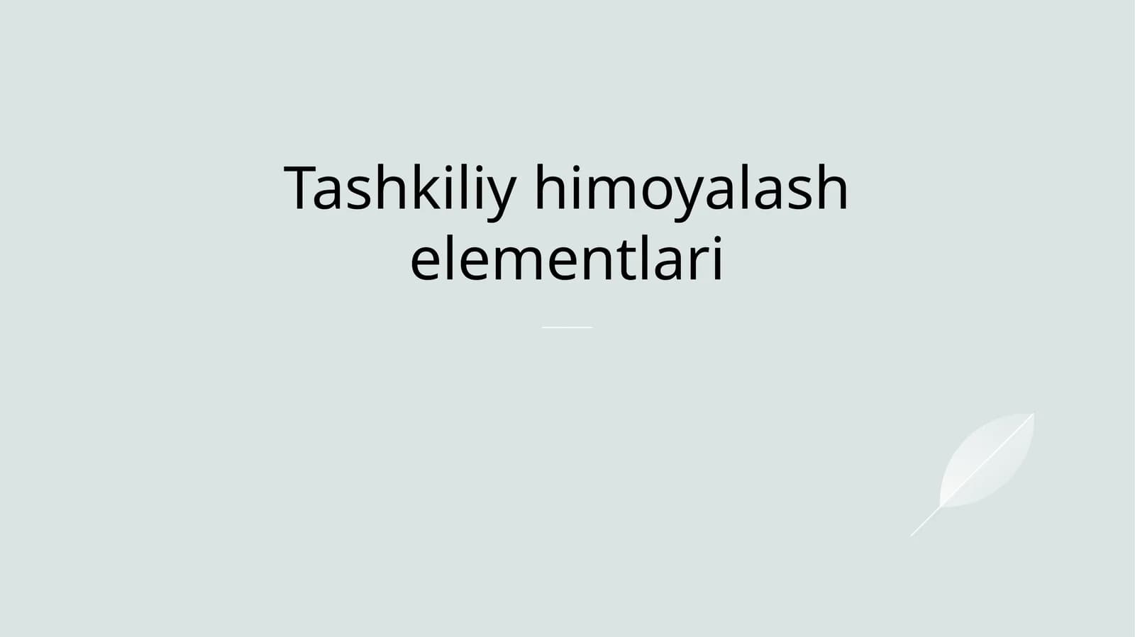 Tashkiliy himoyalash elementlari