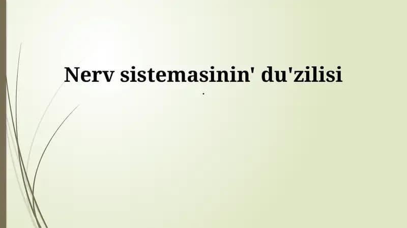Nerv sistemasının' du'zilisi