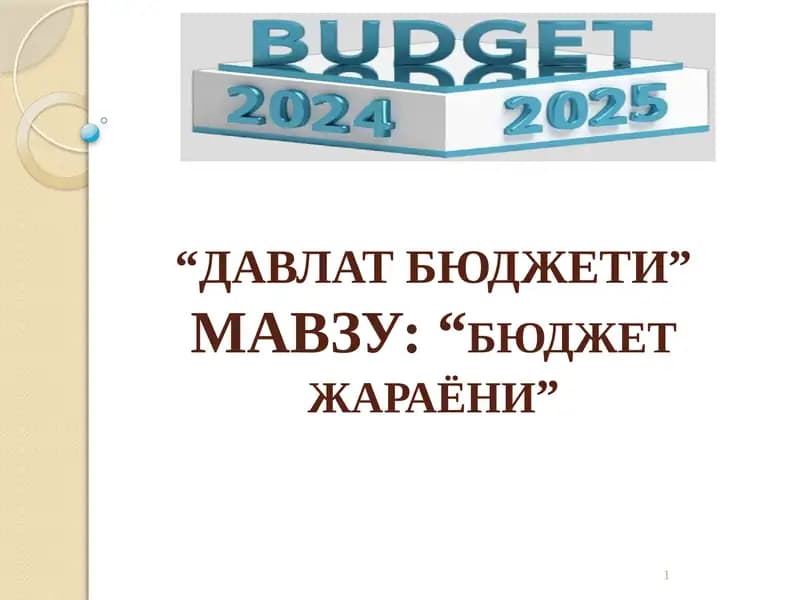 Davlat budjeti jarayoni