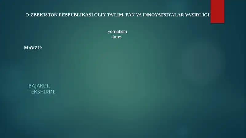 Mustaqil ish
