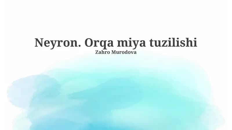 Neyron. Orqa miya tuzilishi