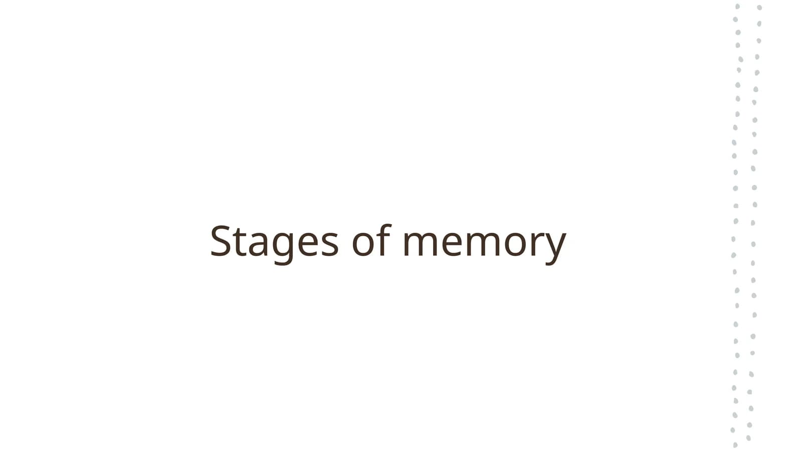 Stages of memory
