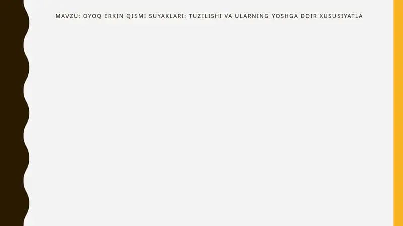 Oyoq erkinqismi suyaklari: tuzilishi va ularning yoshgadoi ruxsusiylatla