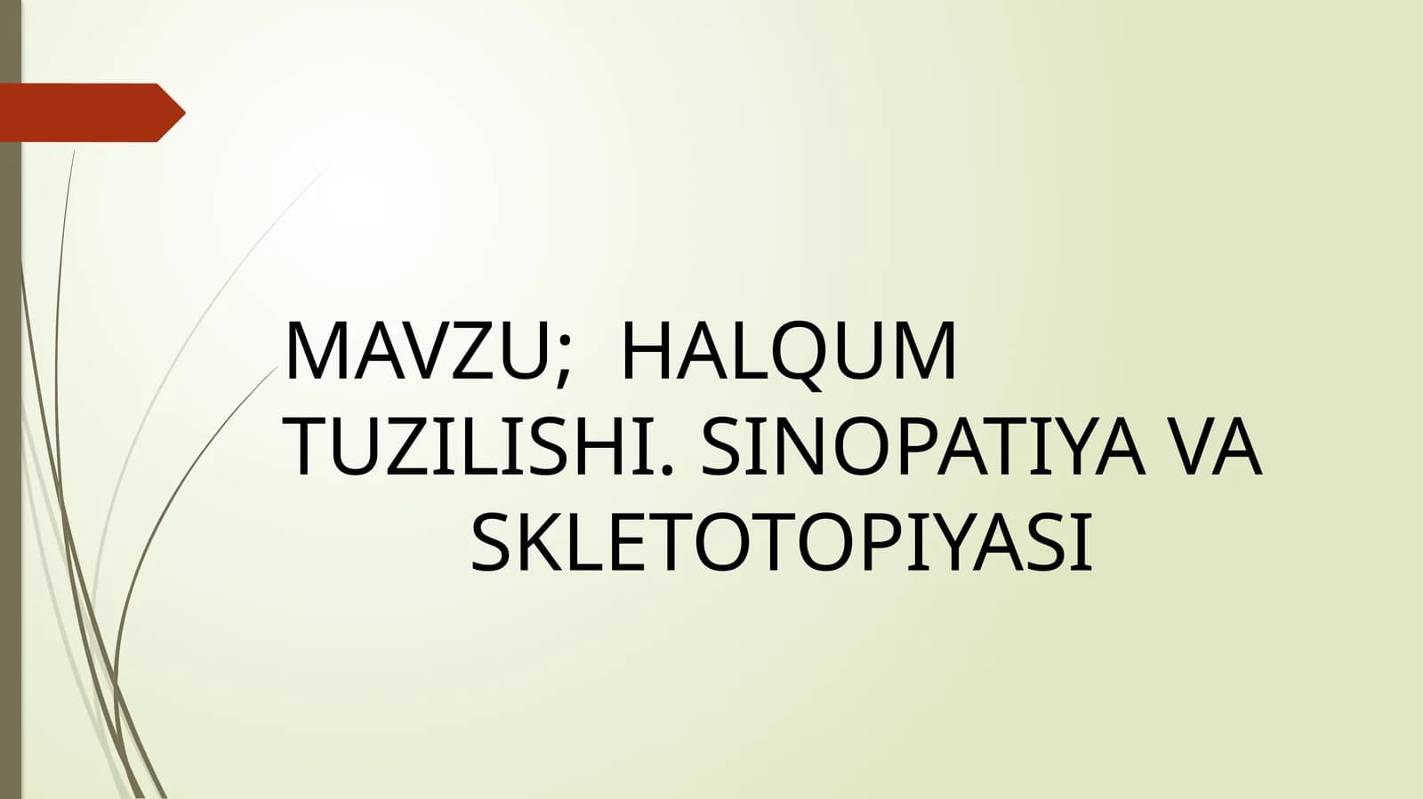HALQUM TUZILISHI. SINOPATIYA VA SKLETOTOPIYASI