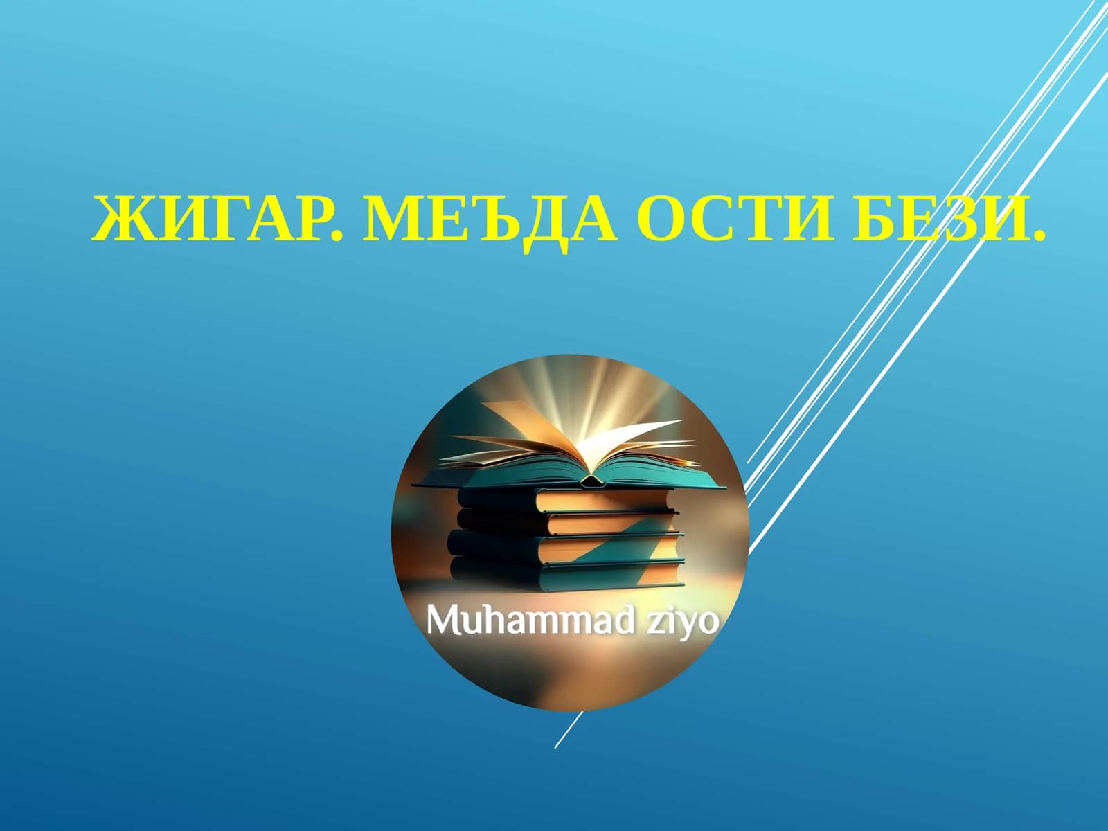 ЖИГАР. МЕЪДА ОСТИ БЕЗИ