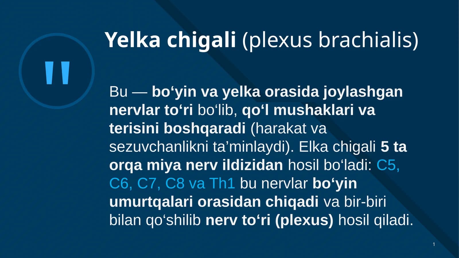 Yelka chigali(plexus brachialis)