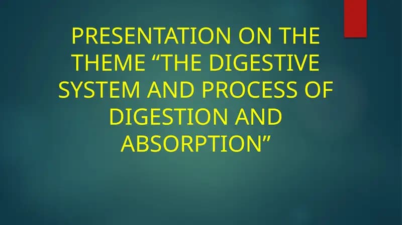 The Digestive System and Process of Digestion and Absorption