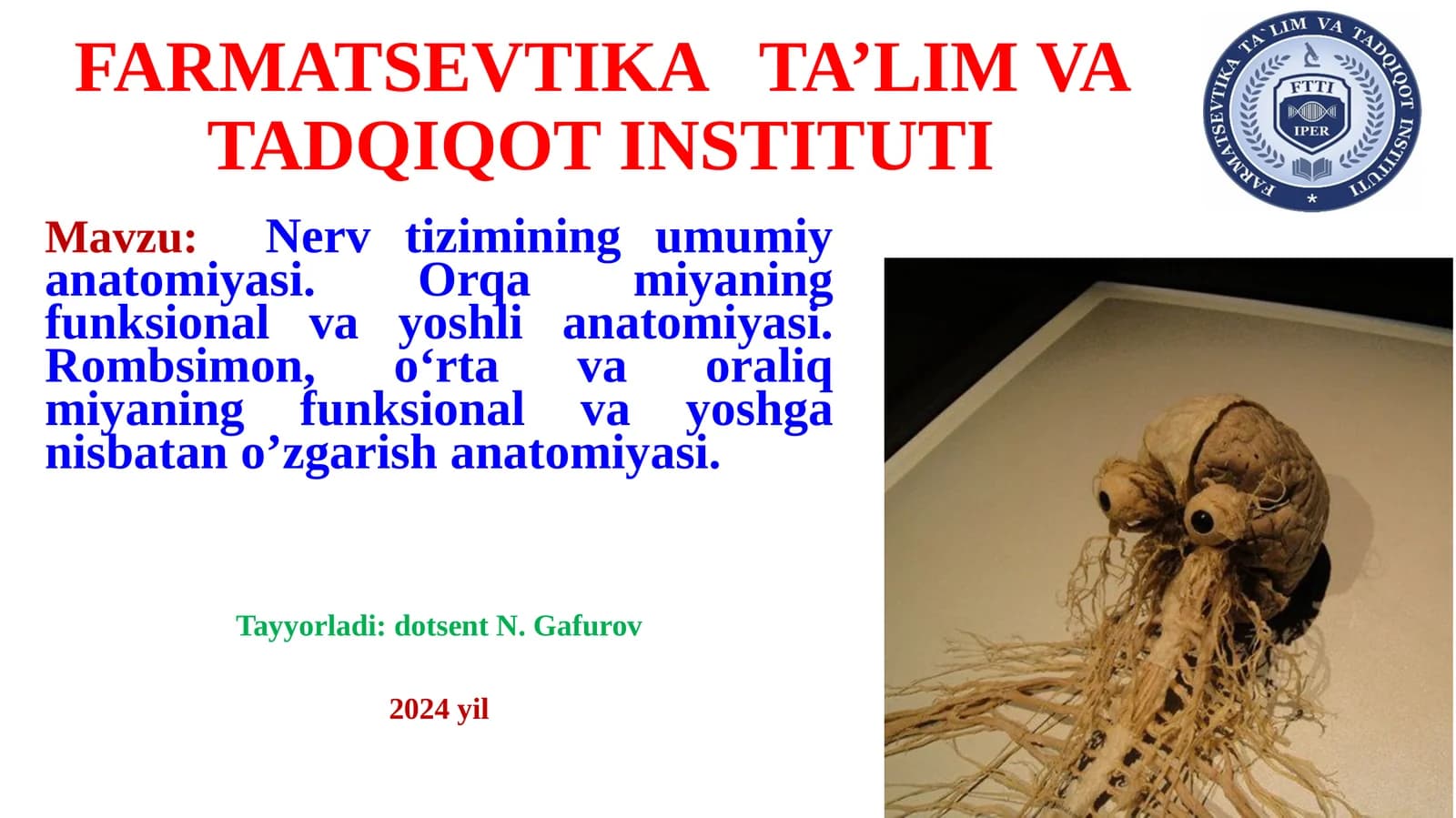 Nervtizimining umumiyanatomiyasi