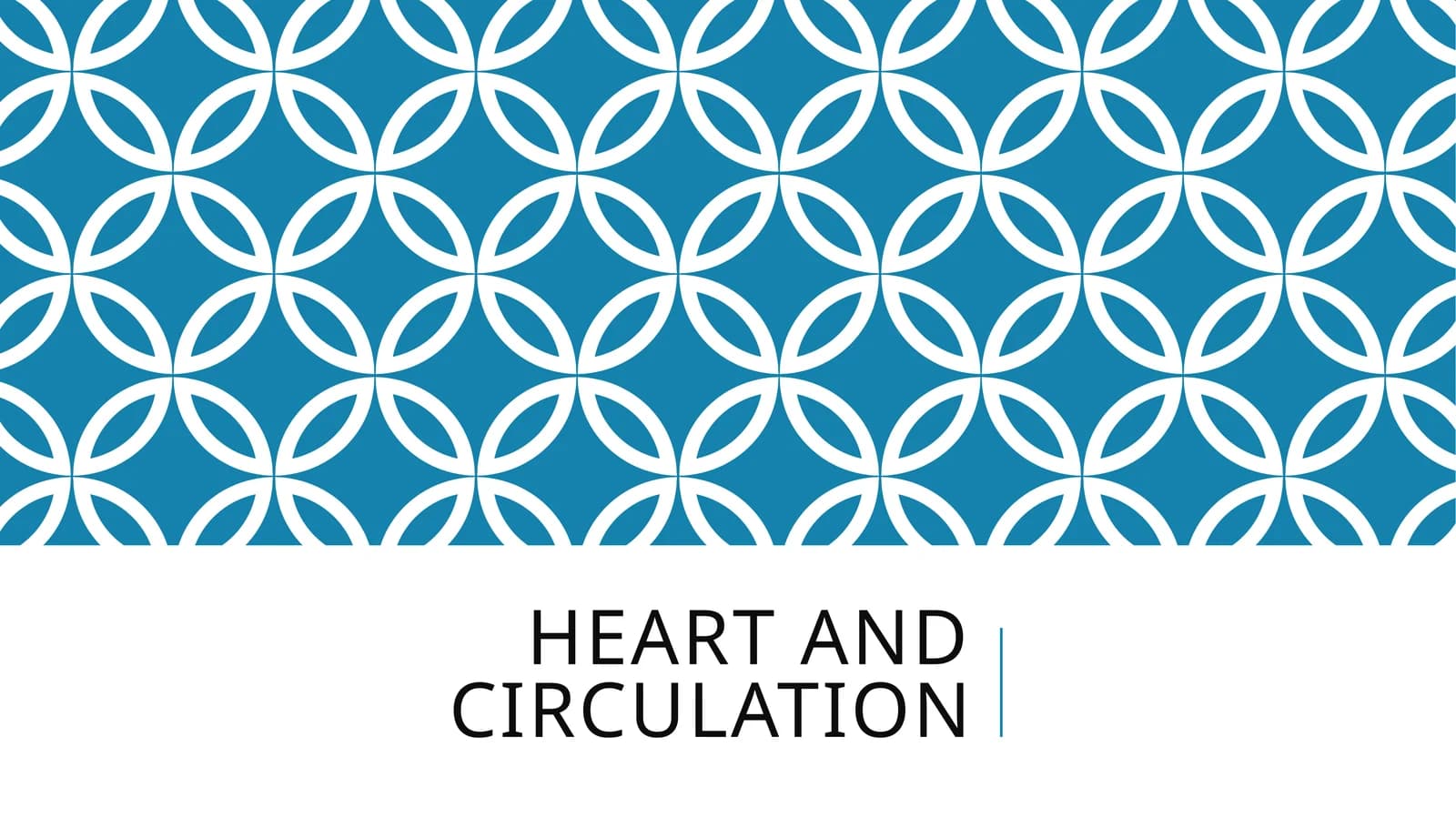 Heart and circulation