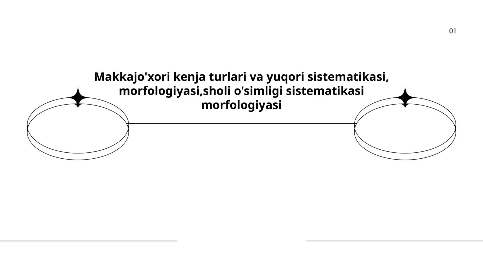 Makkajoʻxori kenja turlari va yuqori sistematikasi, morfologiyasi, sholi oʻsimligi sistematikasi morfologiyasi
