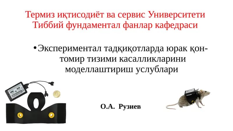 Экспериментал тадқиқотларда юрак қон-томир тизими касалликларини моделлаштириш услублари