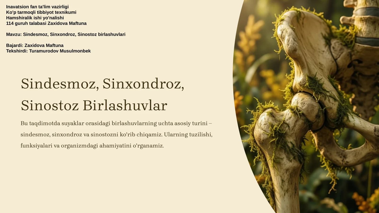 Sindesmoz, Sinxondroz, Sinostoz Birlashuvlar