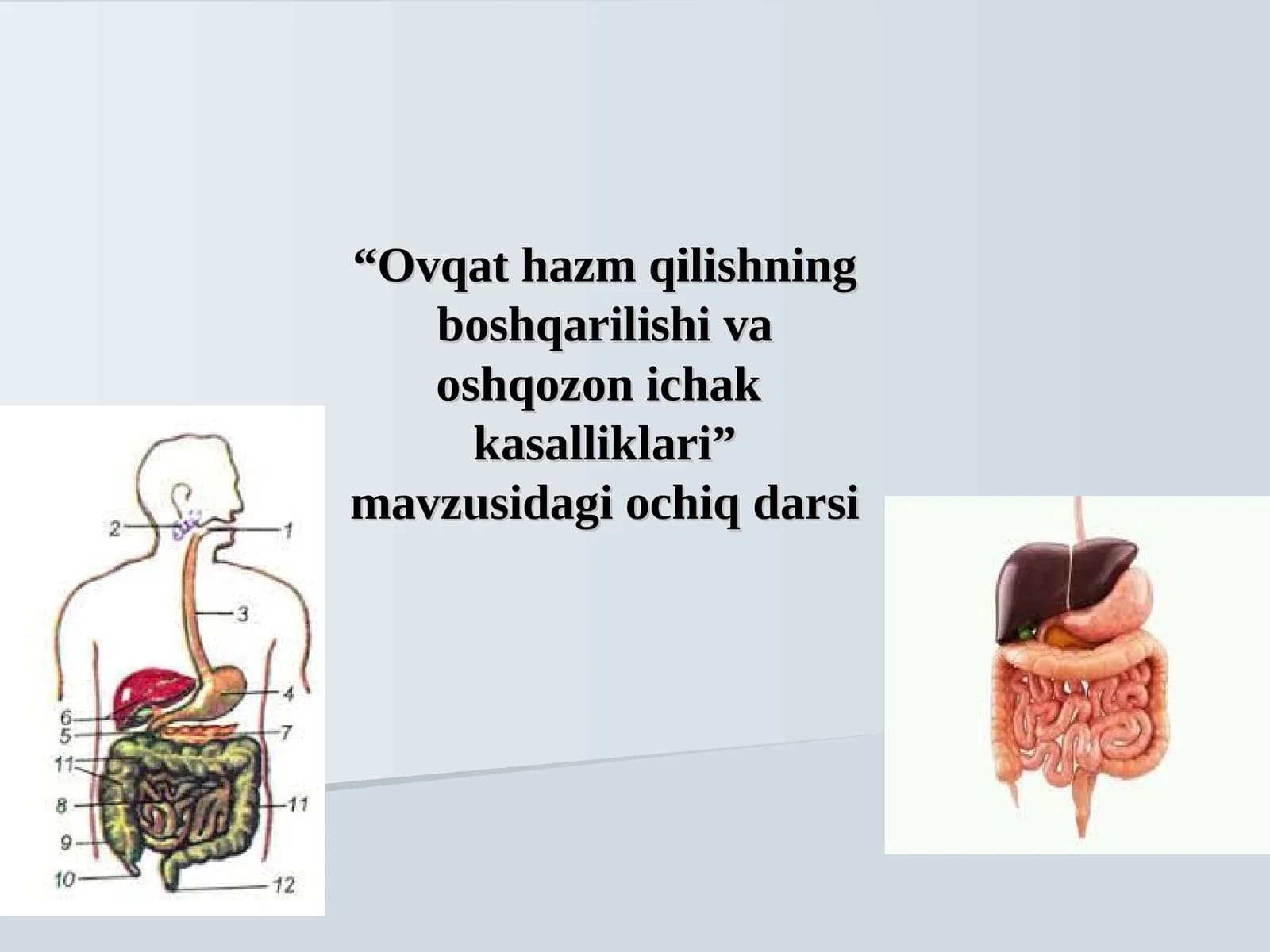 Ovqat hazm qilishning boshqarilishi va oshqozon ichak kasalliklari