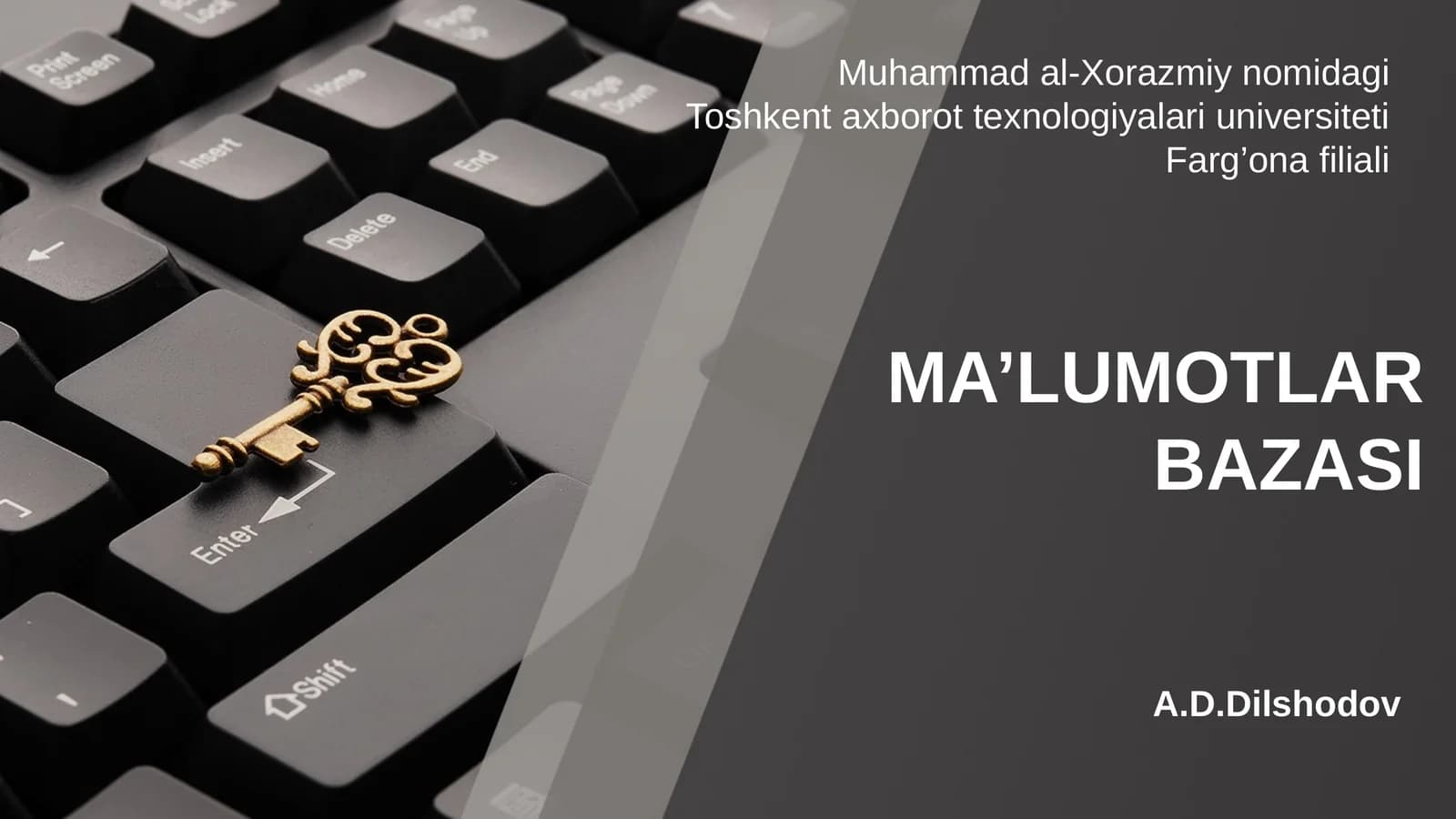 Ma’lumotlar bazasi modeli