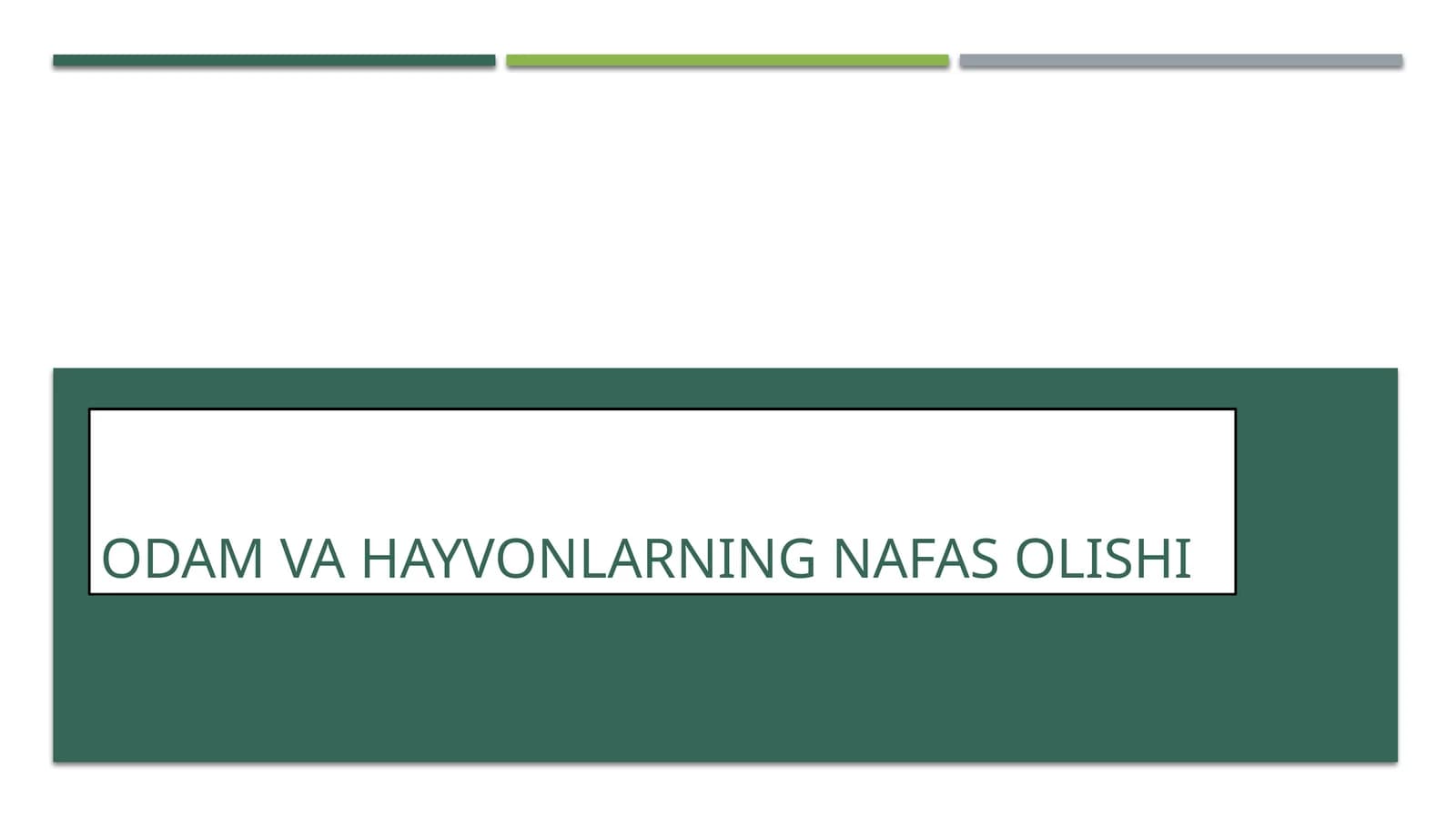 ODAM VA HAYVONLARNING NAFAS OLISHI