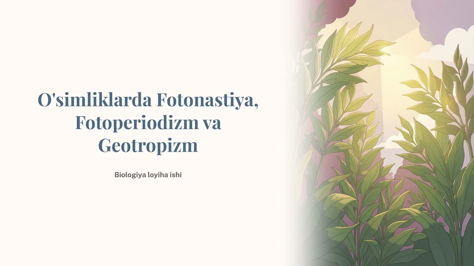 O'simliklarda Fotonastiya, Fotoperiodizm va Geotropizm