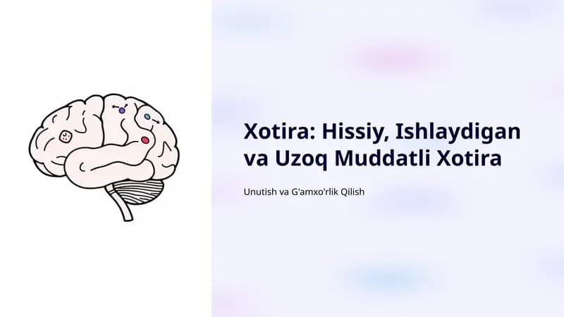 Xotira: Hissiy, Ishlaydigan va Uzoq Muddatli Xotira