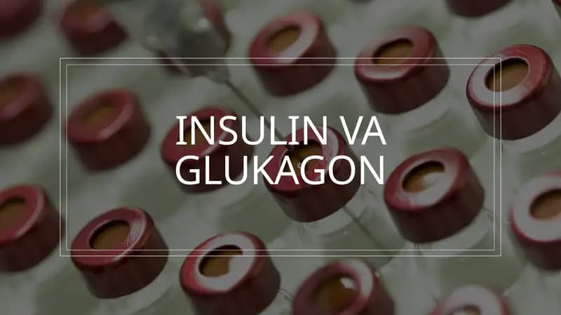 Insulin va Glukagon gormonlari