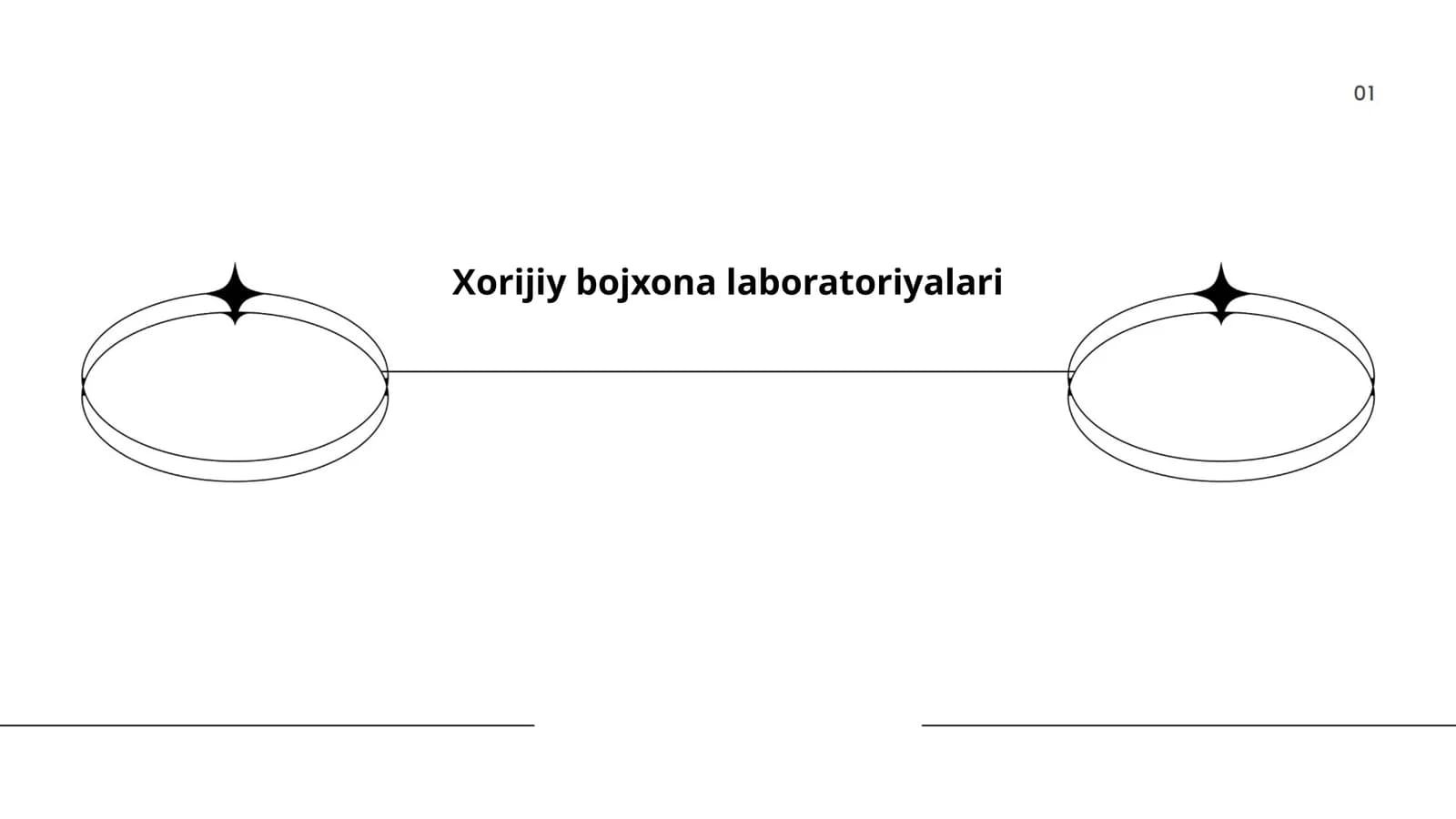Xorijiy bojxona laboratoriyalari