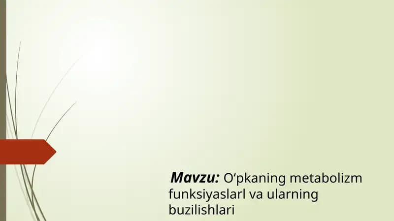 Oʻpkaning metabolizm funksiyalari