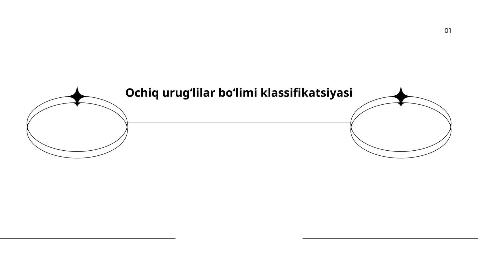 Ochiq urug‘lilar bo‘limi klassifikatsiyasi
