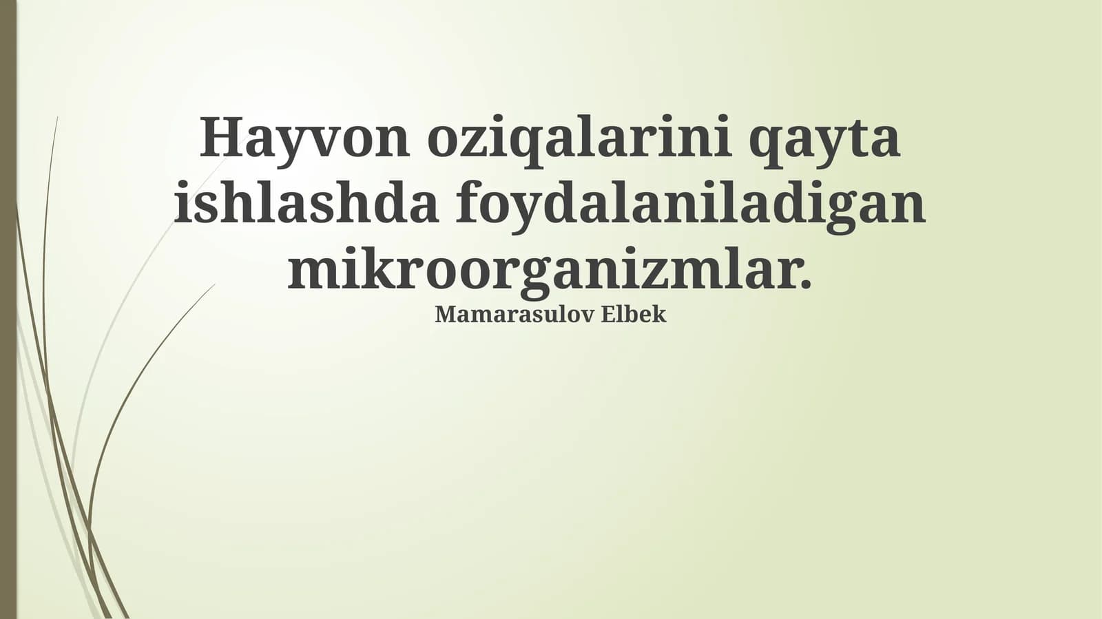 Hayvon oziqalarini qayta ishlashda foydalaniladigan mikroorganizmlar