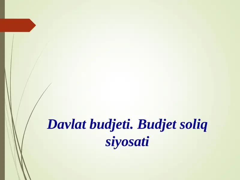 Davlat budjeti. Budjet soliq siyosati