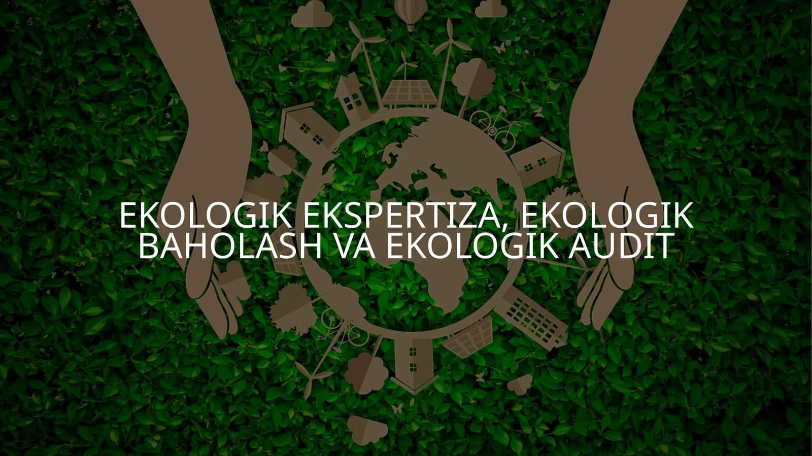Ekologik ekspertiza, ekologik baholash va ekologik audit