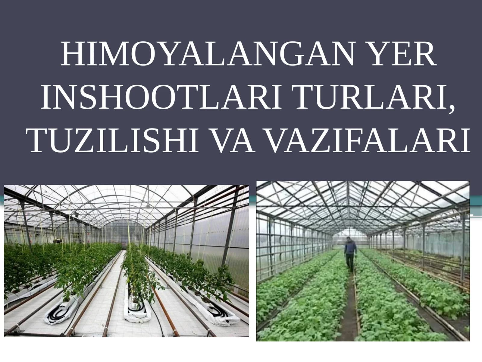 Yopiq (himoyalangan) maydon inshootlari turlari, tuzilishi va vazifalari