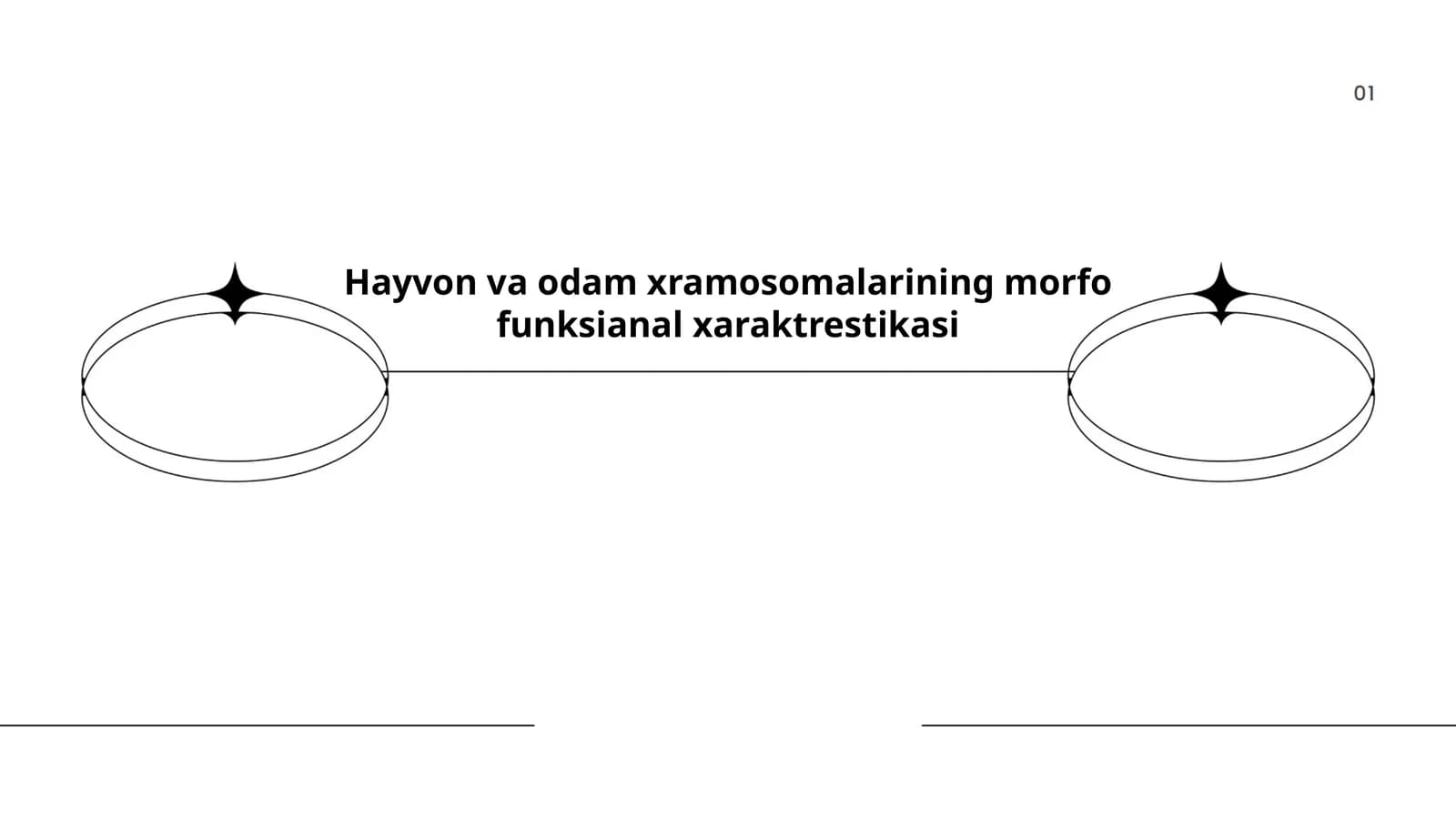 Xromosomalarning tuzilishi va morfologiyasi