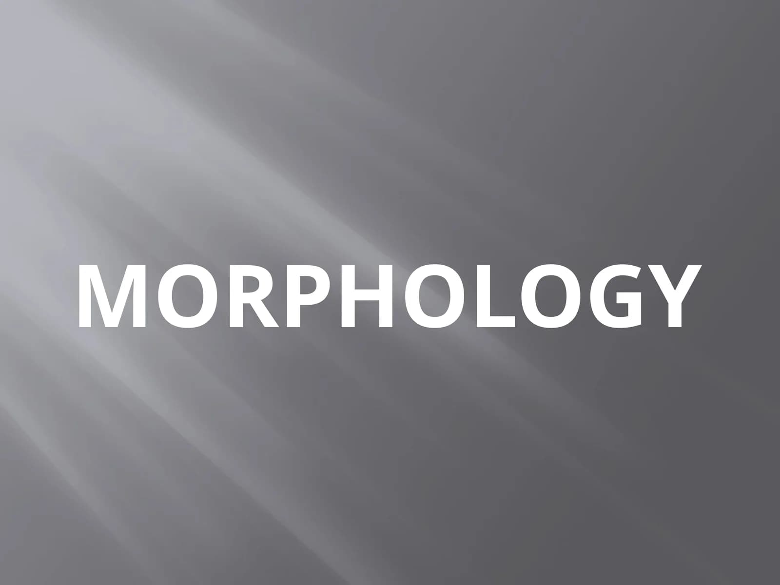 MORPHOLOGY