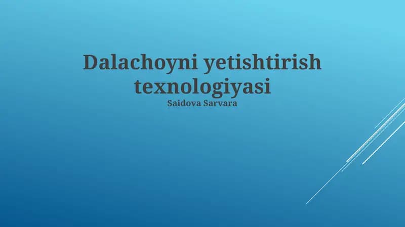Dalachoyni yetishtirish texnologiyasi