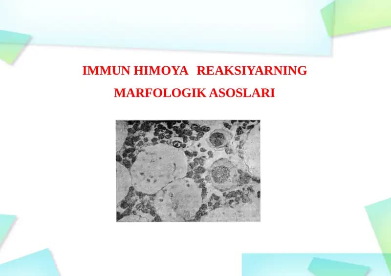 IMMUN HIMOYA