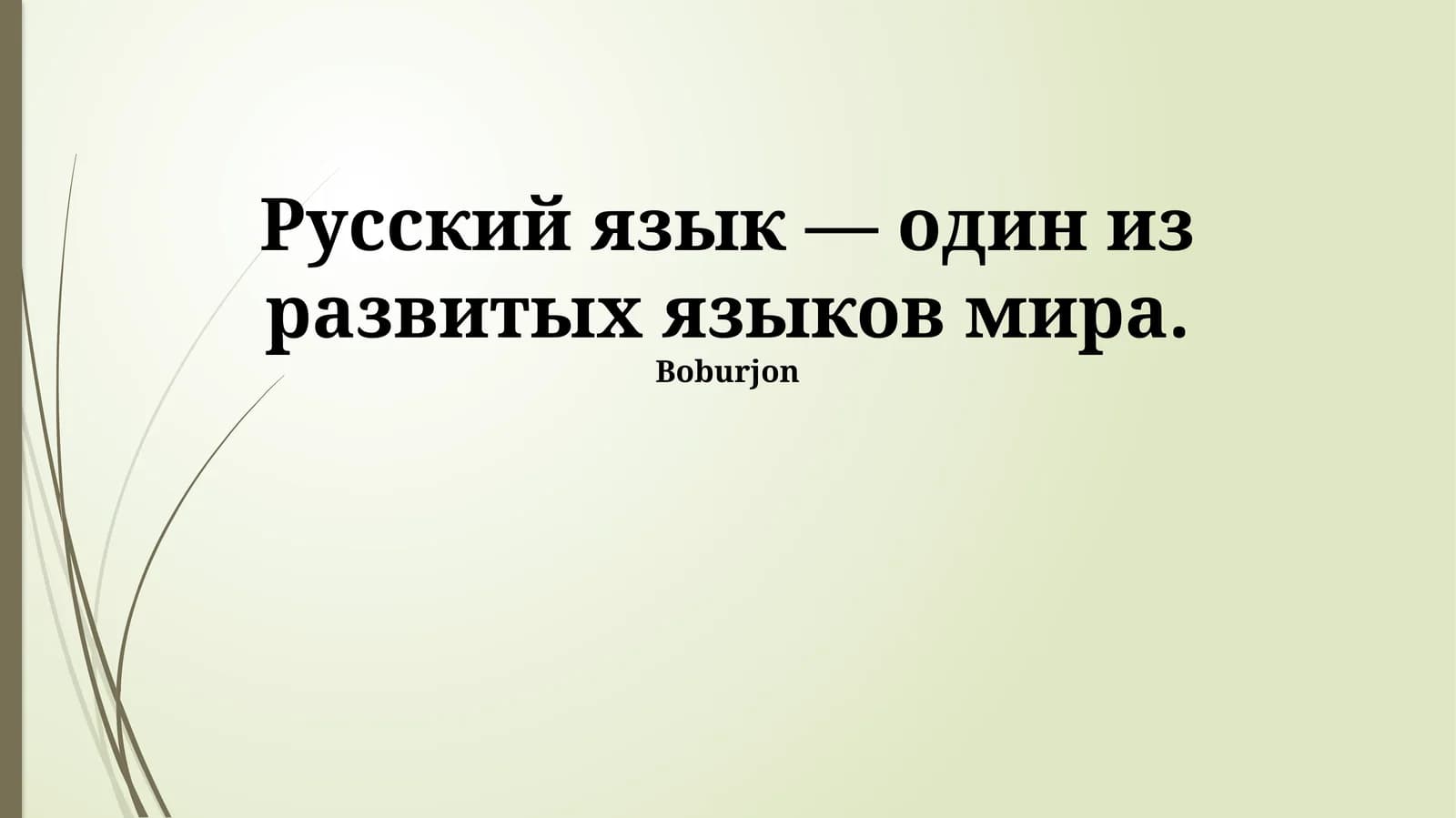 Современный русский язык: богатство и развитие