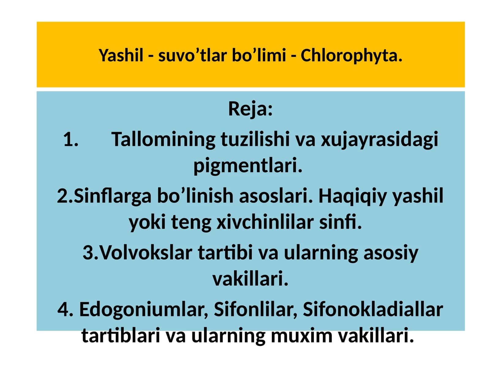 Yashil - suvo’tlarbo’limi- Chlorophyta